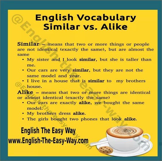 Using SIMILAR And ALIKE English Learn Site