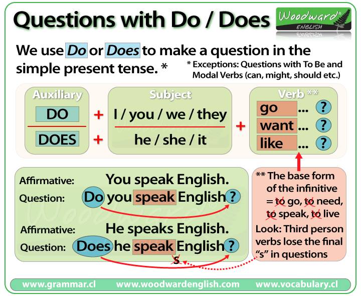 Questions With Do And Does English Learn Site