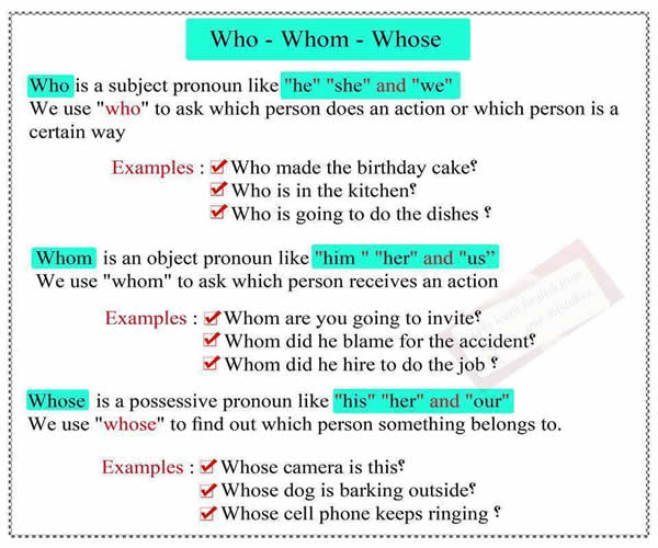 Uses Of Who Whom Whose English Learn Site