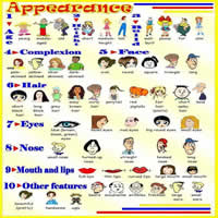 Appearance Vocabulary - Visual Method Vocabulary Study