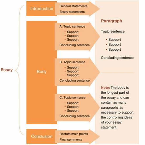 How To Write An Essay English Learn Site