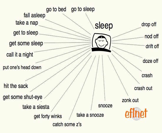 Other Ways To Say Sleep English Learn Site